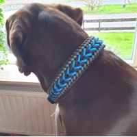 Personaliseer uw Halsband "Bennos Happiness"