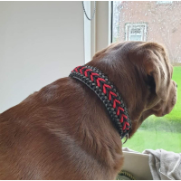 Personaliseer uw Halsband "Bennos Happiness"