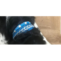 Personaliseer uw Halsband "Bennos Happiness"