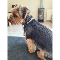 Halsband "3D Cobra"  - Bruin/Beige/Zwart