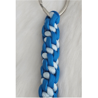 BLAUW TINTEN - type 3