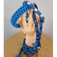BLAUW TINTEN - type 3