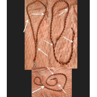 VERSTELBARE LIJN / POLITIELIJN / TRAININGSLIJN